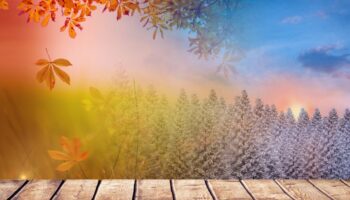 Digital composition of autumn and winter season with wooden walkway